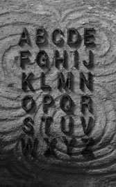 Word Searcing